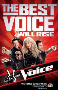 Голос Америки (сериал 2011 – ...) смотреть онлайн