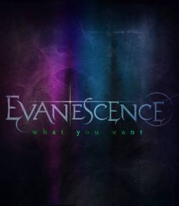 Evanescence: What You Want () / [2011]