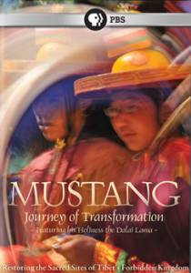    :   - Mustang: Journey of Transformation 