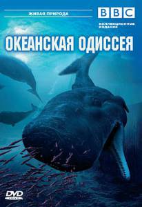     BBC:   () / Ocean Odyssey / (2006)