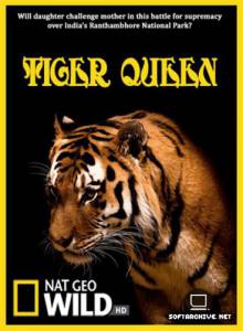      () / Tiger Queen / [2010] 