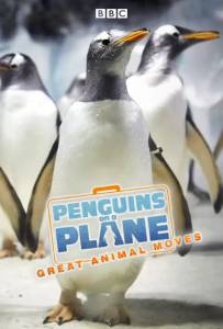       :    (-) - Penguins on a Plane: Great Animal Moves