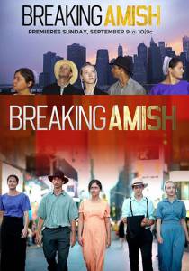  :    ( 2012  ...) - Breaking Amish 
