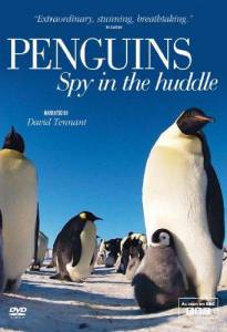   :    (-) - Penguins: Spy in the Huddle  